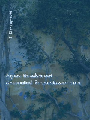cover image of Agnes Bradstreet Channelled From Slower Time